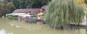 FOTO: Krka spet narašča