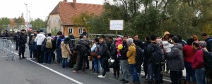 Žico kupujejo, uporabili pa jo bodo, le če bo nujno