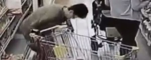 VIDEO: Veliko potrebo opravila kar v trgovini