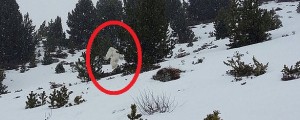 VIDEO: V smučarskem središču posnel jetija