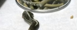 VIDEO: Poglejte, kaj je našla, ko je odprla konzervo s stročjim fižolom