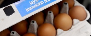 Kvaliteta jajc, ki jih bomo jedli za velikonočne praznike