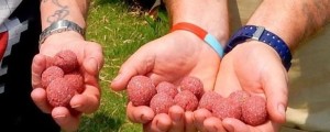 Ribiča za vabo uporabila mrtvega prijatelja