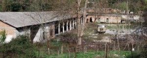 Tovarno streliva v najem organiziranemu kriminalu