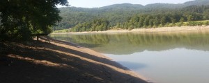 Martina so našli s pomočjo reševalnih psov