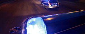 24-letnik umoril babico in dva policista
