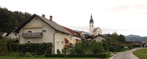 Gol, krvav in pobesnel