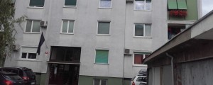Darka je sosed našel v mlaki krvi
