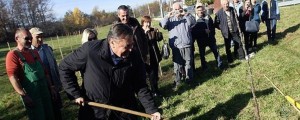 Objestneži polomili mestni javni sadovnjak