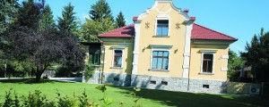 Luksuzni domovi Cerarjevih ministrov