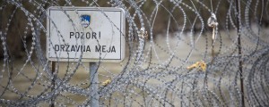 Ograja na meji: za nakup ponarejali dokumente