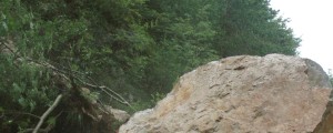 Zakaj v potres v Italiji ni bil povezan s Slovenijo?