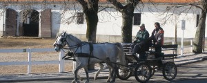 Adijo, Lipica Turizem: brez dela za zdaj 18 ljudi