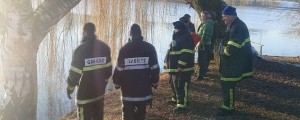 Ptičja gripa: ne hranite živali na prostem!