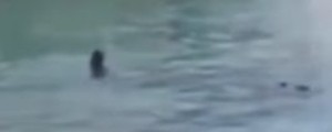 VIDEO: V Benetkah utonil 22-letni Afričan; ljudje so zgolj opazovali