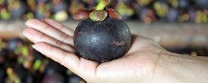 Plusi in minusi diet – le katero izbrati?