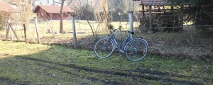 Sodišče odločilo o krvnikih 26-letnega Andreja