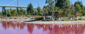 FOTO: Nenavaden pojav jezero obarval v roza