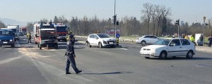 V trčenju v križišču v Spodnjih Črnučah umrli trije psi