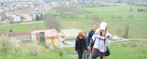 Na vrh samo še za hec - Beba Ščap 66-krat po 454 stopnicah