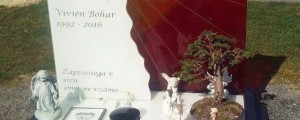 Starši iščejo drevesce, ki so ga postavili na hčerin grob