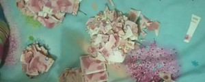 Ko se igra sprevrže v nočno moro: 5-letnik očetu razcefral malo bogastvo