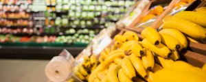 V Gradcu med bananami strupen pajek, prodajalka pristala v bolnišnici
