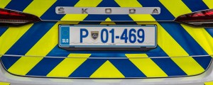 17-letni migrant naj bi na območju Cerknice posilil 78-letno domačinko