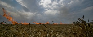 Kmetje, tudi slovenski, tožijo nad ukrajinskim žitom, a nekdo še bolj trepeta