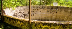 Tragično: Kmet padel v gnojno jamo, zjutraj ga ni bilo na zajtrk