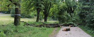 FOTO: Na Bledu padlo drevo ubilo žensko, pri Mozirju strela udarila v kamp