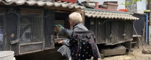 Reševanje na Koroškem: "Prizori so bili šokantni. Zaprte so bile v kurjih kletkah"