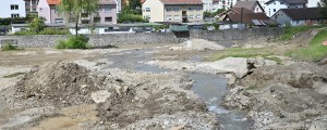 Te rastline je priporočljivo saditi na tleh, ki so prekrita z muljem