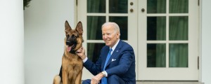 Bidenov pes spet ugriznil tajnega agenta