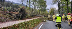 VIDEO: Poglejte, kako je pihalo ob Bohinjskem jezeru, celo pomol je želel zajadrati