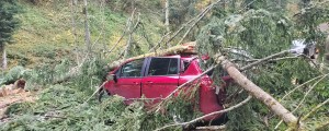 Foto: Pri Rušah smreka padla na parkirana avtomobila