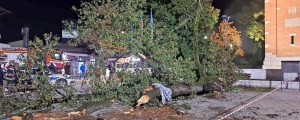 Lipa je padla na 73-letno domačinko! Drevo je pregledala strokovnjakinja