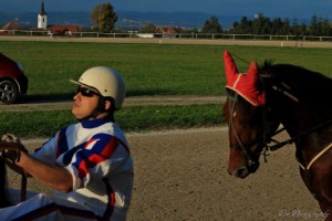 FOTO: Kasaške dirke v Šentjerneju