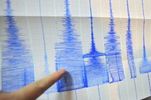 Potres v okolici Brežic