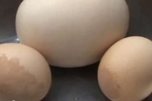 VIDEO: Zvalila gigantsko jajce
