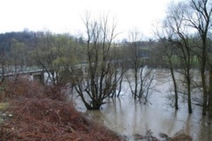 Zaradi obilnih padavin bodo naraščale reke
