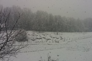 FOTO: Do jutri zjutraj na Kočevskem tudi 20 cm snega, na Dolenjskem manj