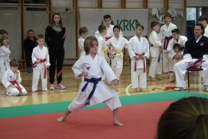 Lisička Open, karate turnir v Sevnici