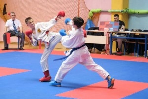 FOTO: Brežiški karateisti na Postojna Open 2016