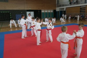 FOTO: Akademija Karate kluba Brežice ob zaključku šolskega leta