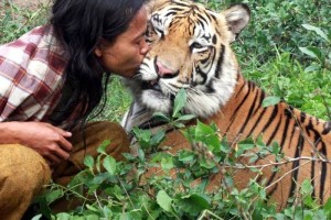 Tiger ubil oskrbnico