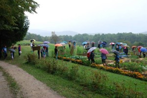 FOTO: Otvoritev Belokranjskega zeliščnega vrta pod Gorjanci