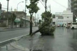 Tajfun Chaba divjal v Južni Koreji