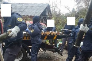 AVDIO: Policija zaplenila ukradena drva v Žabjaku