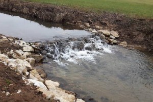 AVDIO: Obnova vodnih pragov na Temenici že kaže prve rezultate